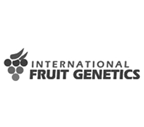 IFG (International Fruit Genetics)