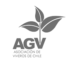 Logos Alianzas Agv